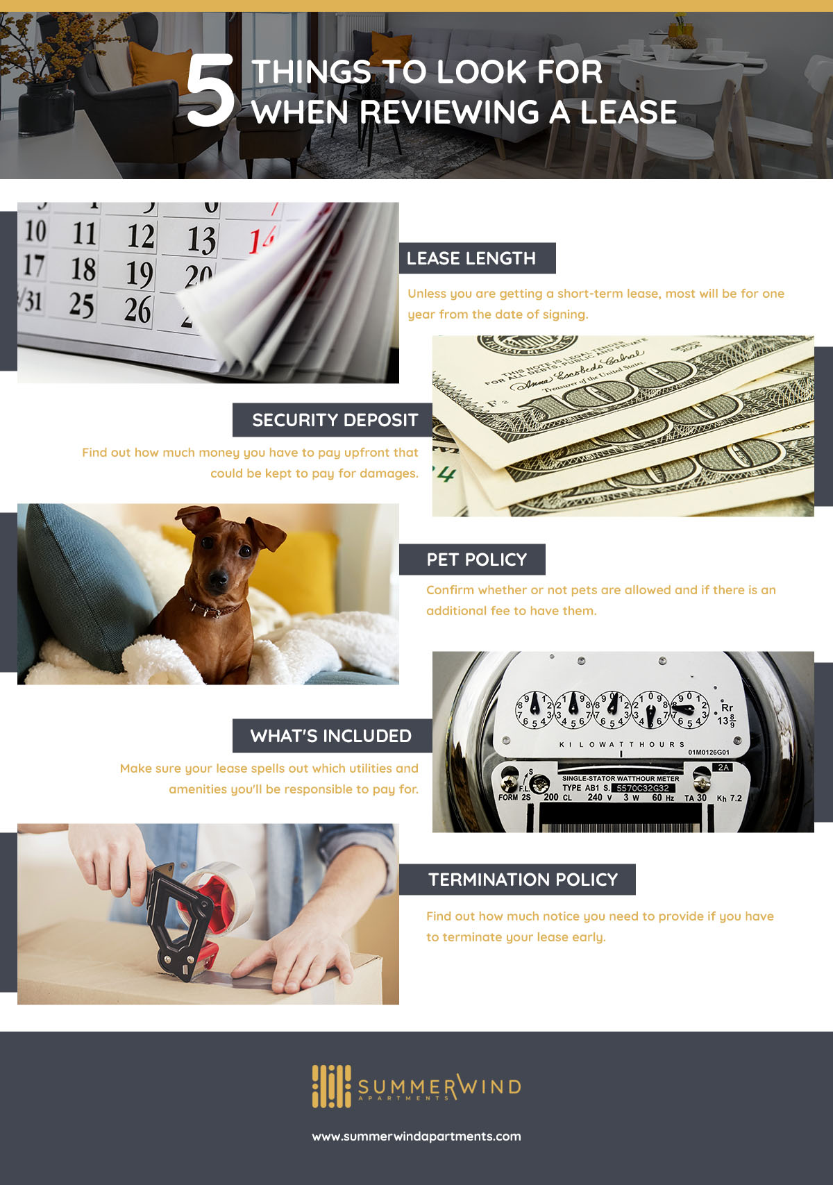 5-Things-To-Look-For-When-Reviewing-a-Lease-61044cc6bbaff