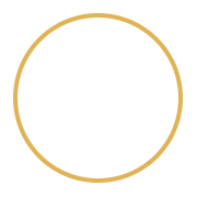 Budget Icon